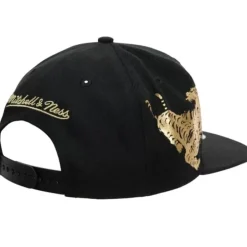Mitchell & Ness Snapback-Water Tiger Snapback Hwc Toronto Raptors