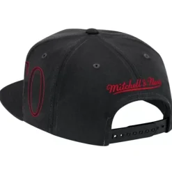 Mitchell & Ness Snapback-Winner Circle Snapback Toronto Raptors