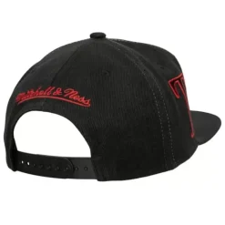 Mitchell & Ness Snapback-Winner Circle Snapback Toronto Raptors
