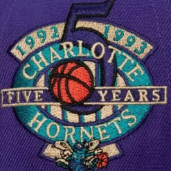 Mitchell & Ness Snapback-With Love Snapback Hwc Charlotte Hornets