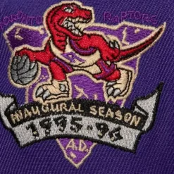 Mitchell & Ness Snapback-With Love Snapback Hwc Toronto Raptors