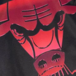 Woman Mitchell & Ness T-Shirts & Tops-Womens Big Face 4.0 Crop Tank Chicago Bulls