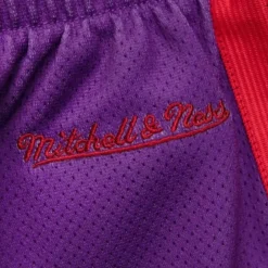 Woman Mitchell & Ness Shorts-Women'S Big Face 3.0 Shorts Toronto Raptors