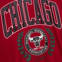Woman Mitchell & Ness Hoodies & Sweatshirts-Womens Logo Lt Crew 2.0 Chicago Bulls
