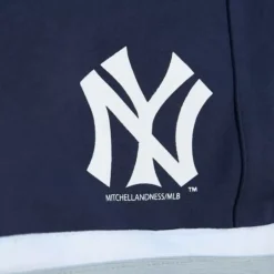 Woman Mitchell & Ness Shorts-Womens Skort New York Yankees