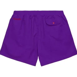 Men Mitchell & Ness Shorts-Woven Shorts Toronto Raptors